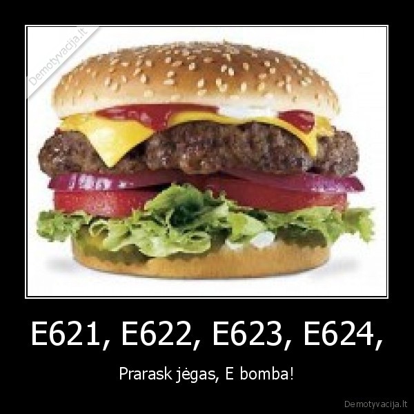 E621, E622, E623, E624,