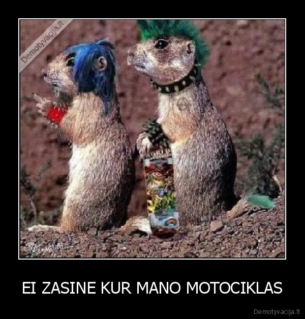 EI ZASINE KUR MANO MOTOCIKLAS