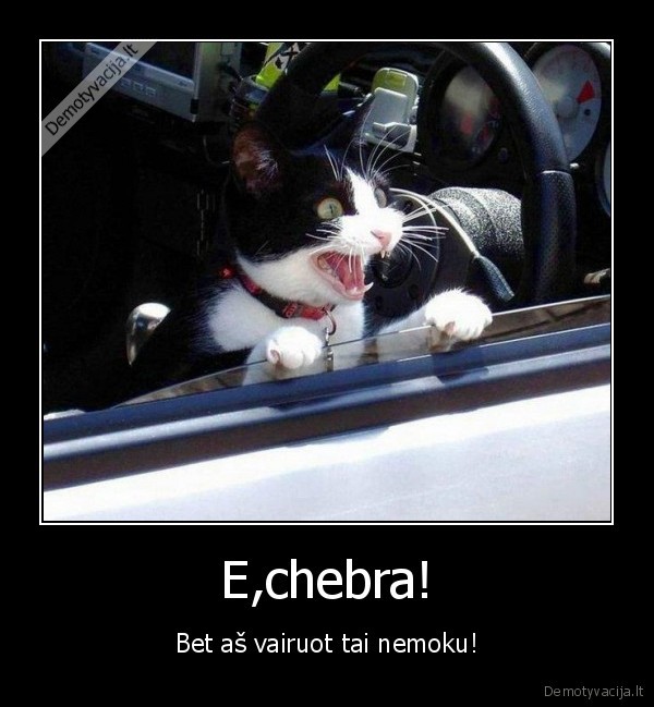 E,chebra!