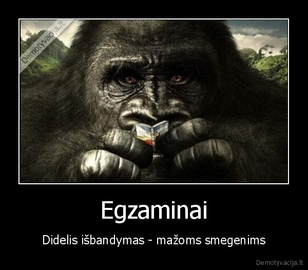Egzaminai