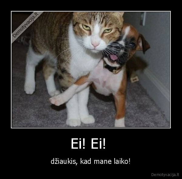 Ei! Ei! 
