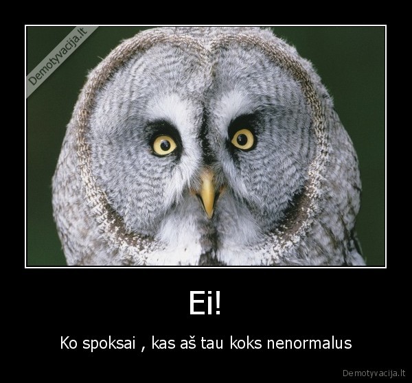 Ei!