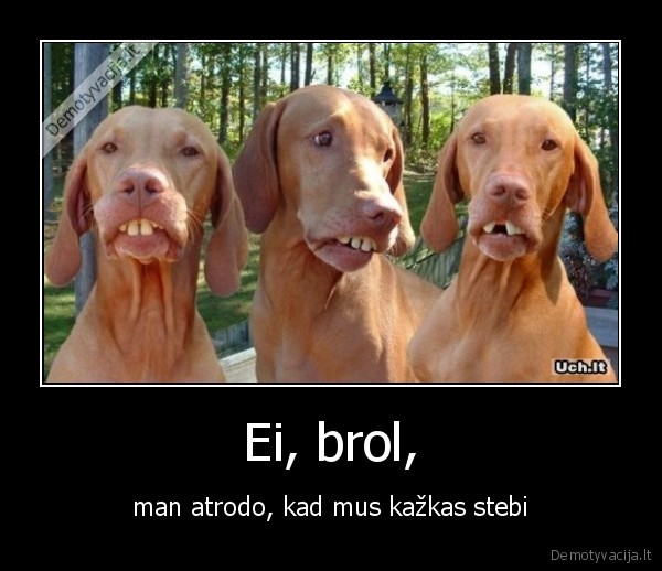 Ei, brol,