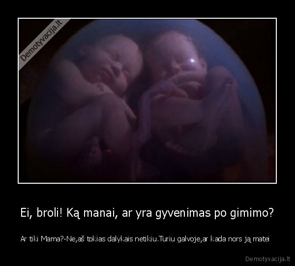 Ei, broli! Ką manai, ar yra gyvenimas po gimimo?