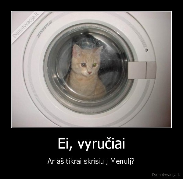 Ei, vyručiai