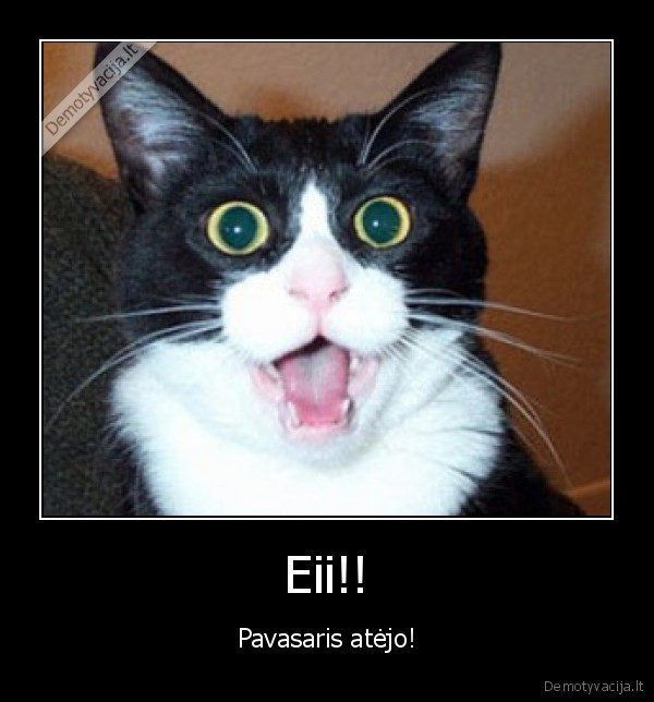 pavasaris