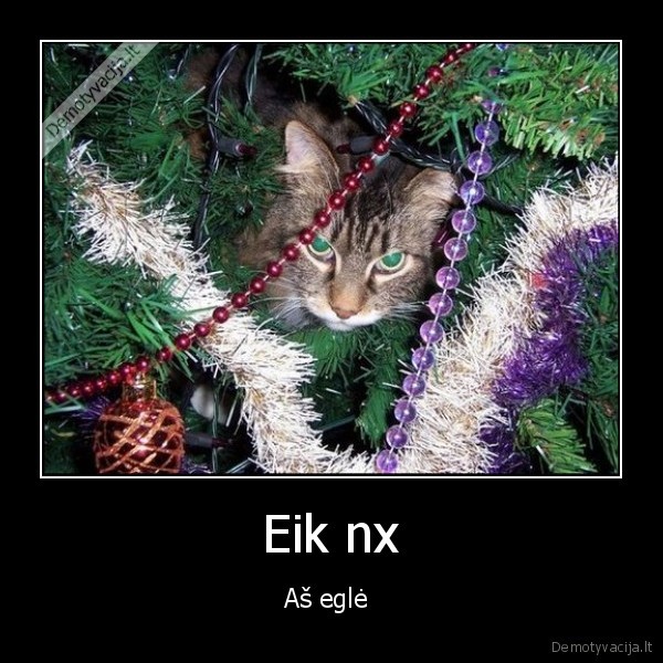 Eik nx