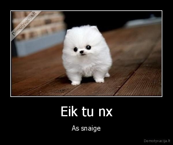 Eik tu nx