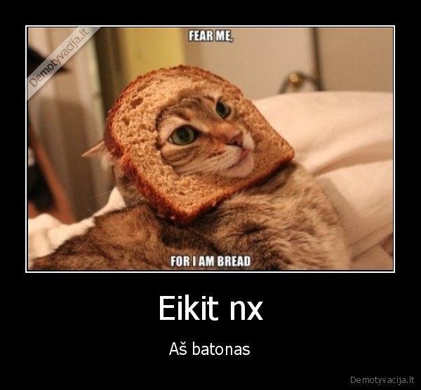 Eikit nx