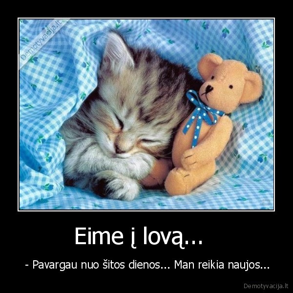 dfhgdf