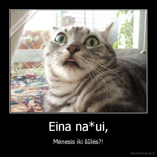as, nekesti, mokyklos