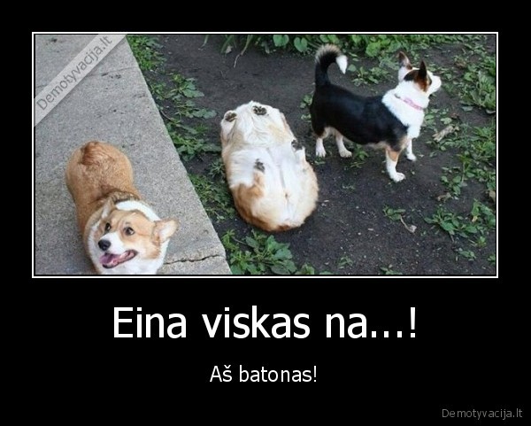 suo,batonas