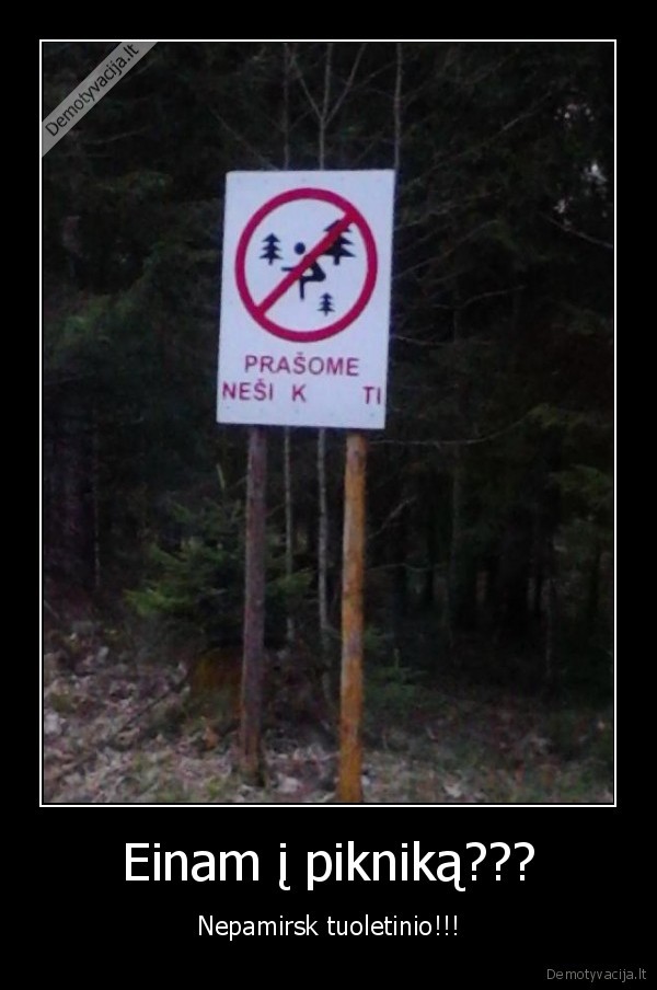 Einam į pikniką???