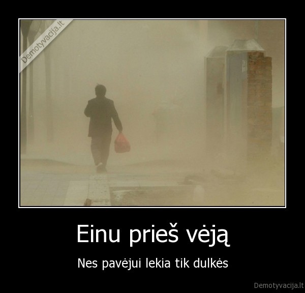 dulke,vejas