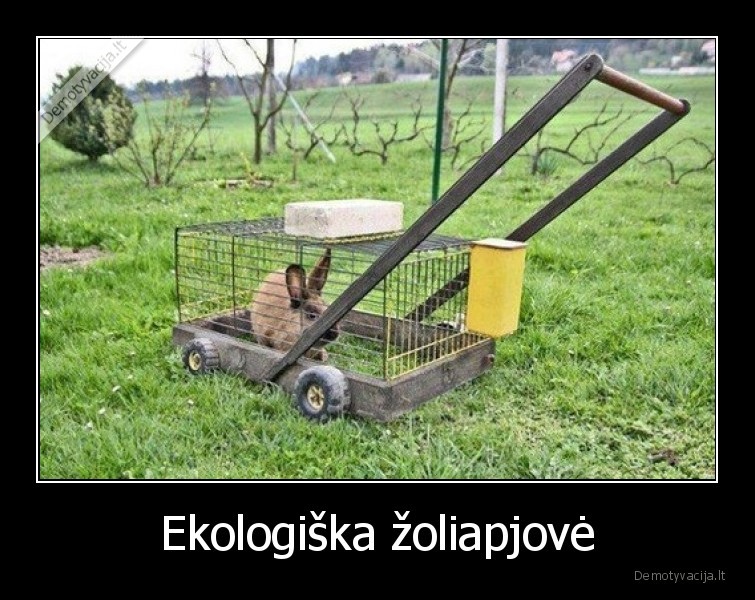 ekologiska,zoliapjove,triusis