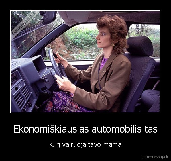 mama, automobilis, ekonimija