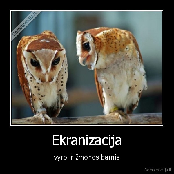 Ekranizacija