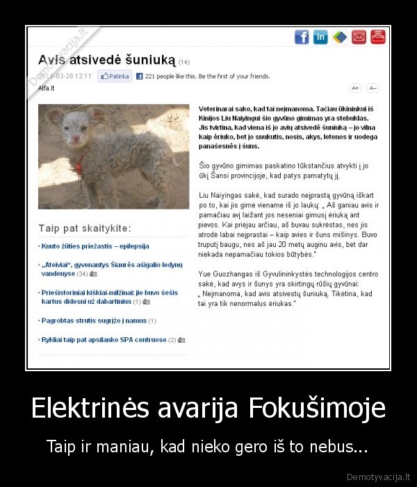 aviasunis,radiacija,avarija,fokisima