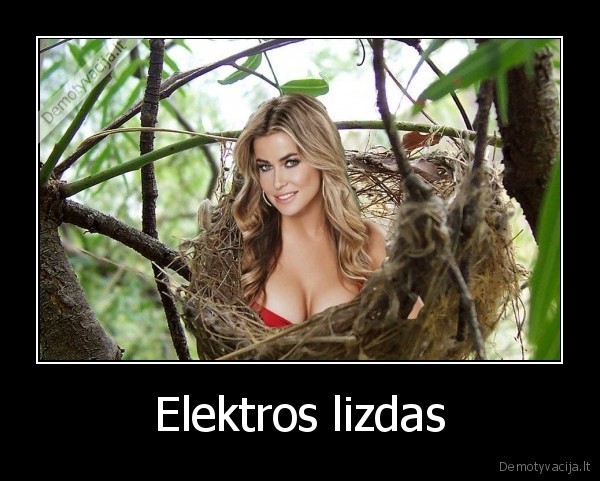carmen, elektra,lizdas
