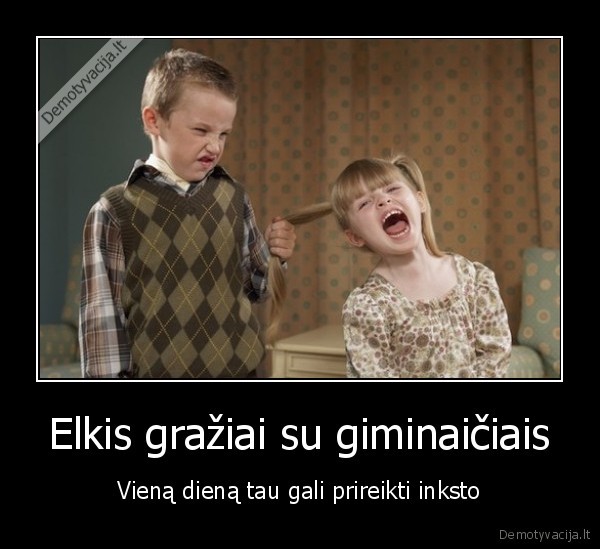inkstai,donorai