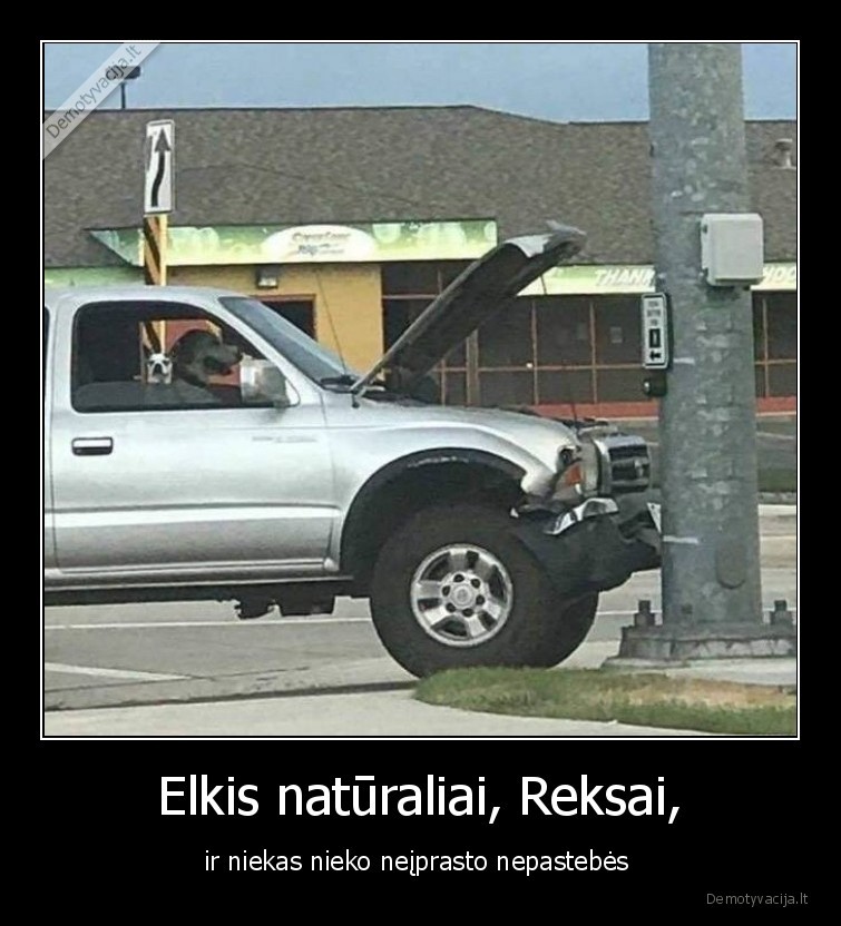 sunys,masina,avarija