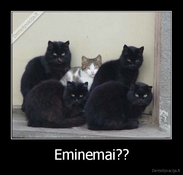Eminemai??