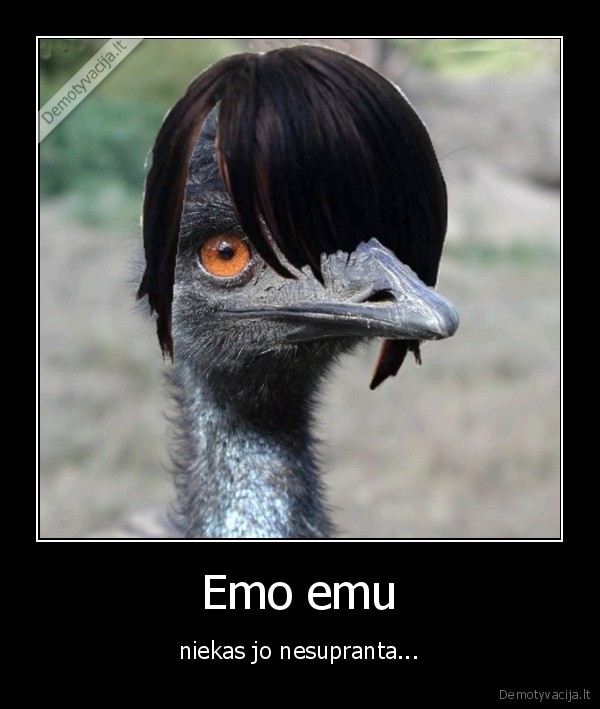 Emo emu
