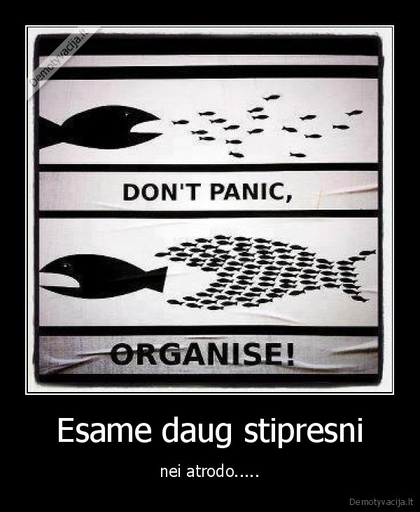 vienybe,politika