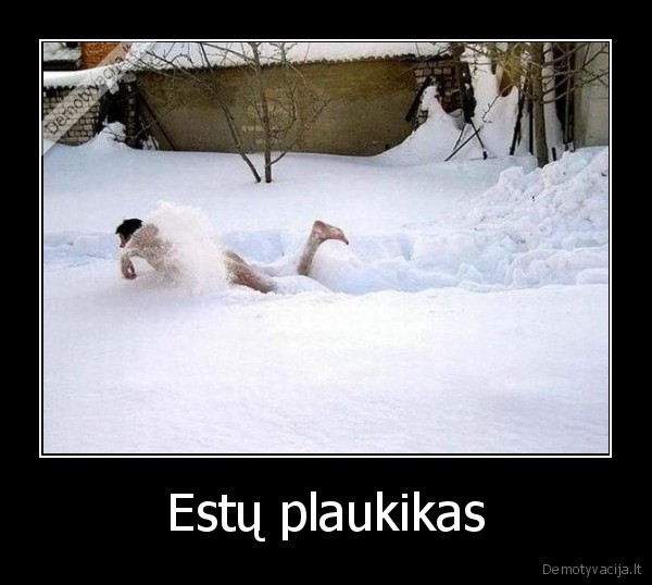 Estų plaukikas