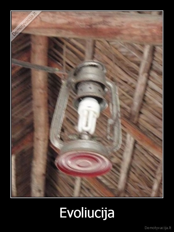 Evoliucija