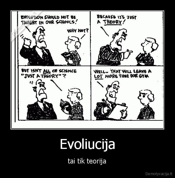 Evoliucija