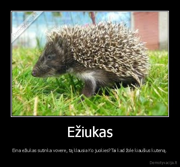 eziukas,kiausiai