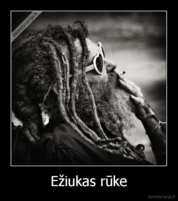 Ežiukas rūke