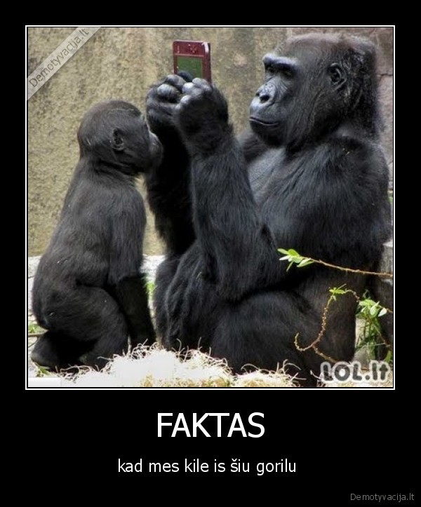 FAKTAS