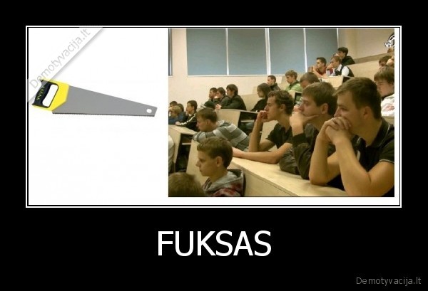 2, reiksmes,pjuklas,pirmakursiai