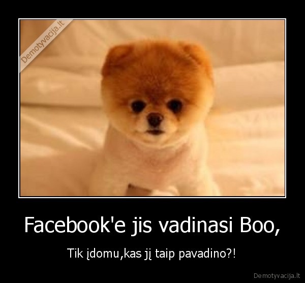 Facebook'e jis vadinasi Boo,