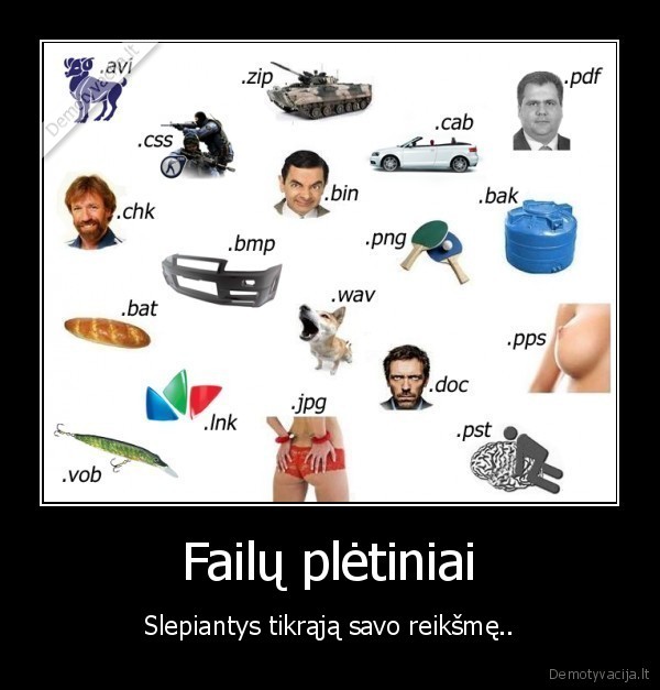 failai,pletiniai,tipai,daug, paveiksliuku,slepti,reiksme,esmeavi,css,zip,chk,bin,png,pdf,cab