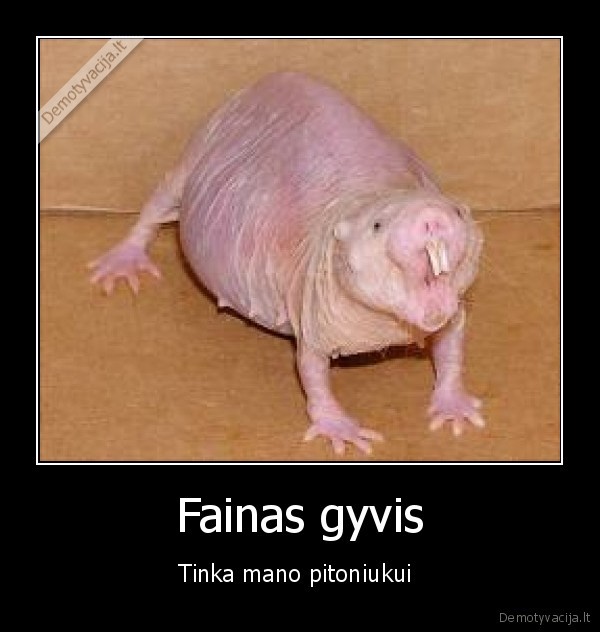 egzotika, trololo