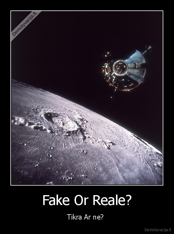 fake