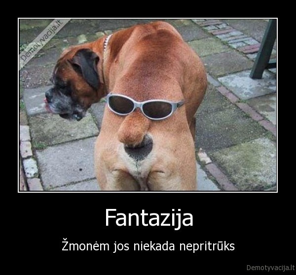 suo,veidas,fantazija