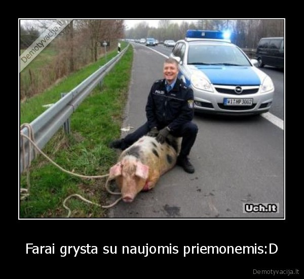 Farai grysta su naujomis priemonemis:D