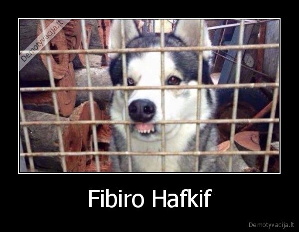 Fibiro Hafkif