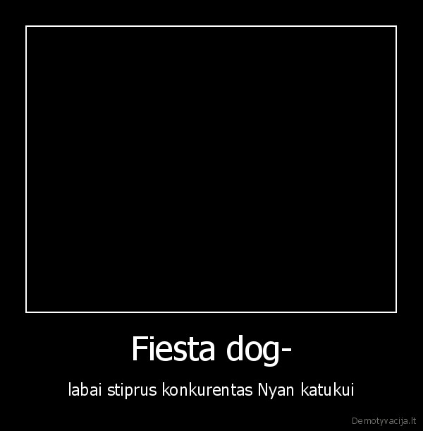 Fiesta dog-