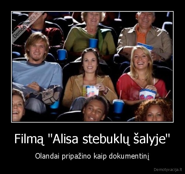 olandai,zoles, rukymas,legali, zole