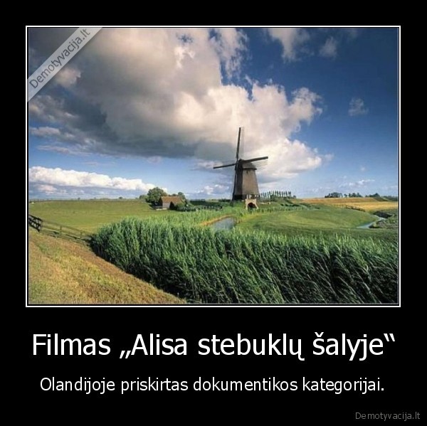 oladija, alisa