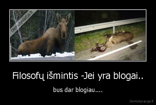 filosofija