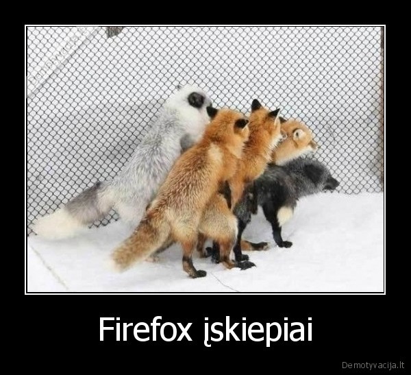 frifox, plugins,iskiepiai,lapes