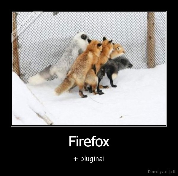 firefox,pluginai,narsykle,lapes