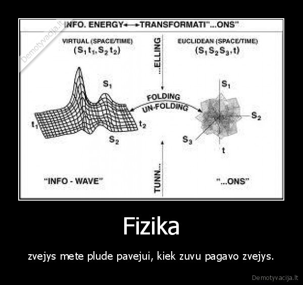 fizika, mokykla, tu, esi, durnas, jei, cia, skaitai