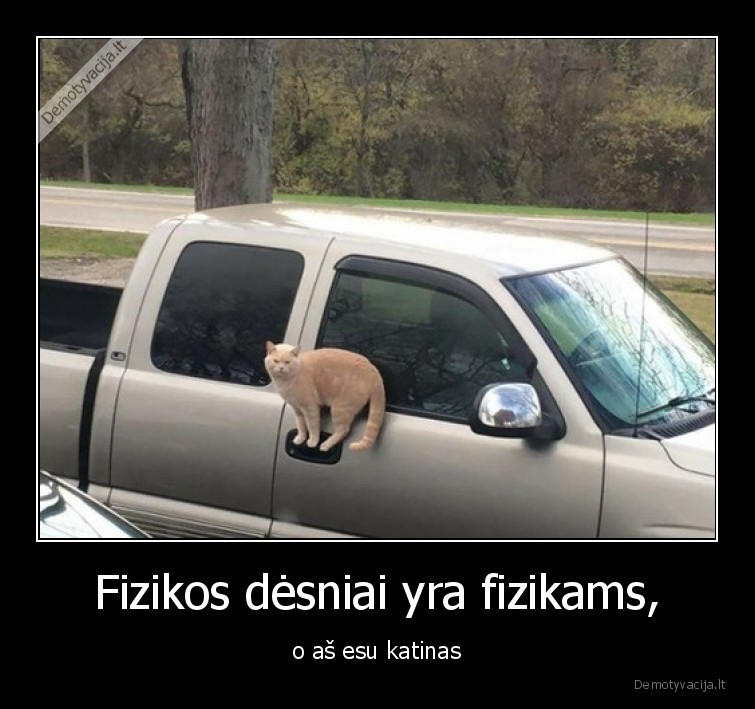 fizikos,desniai,katinas,kate